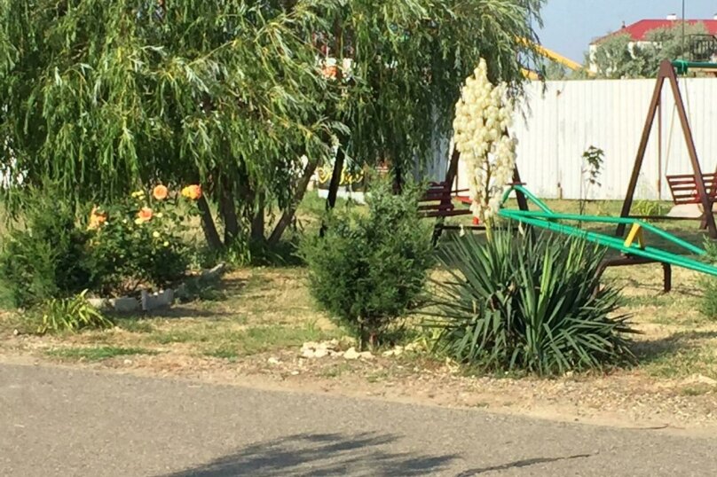 Фото Серебристый лог