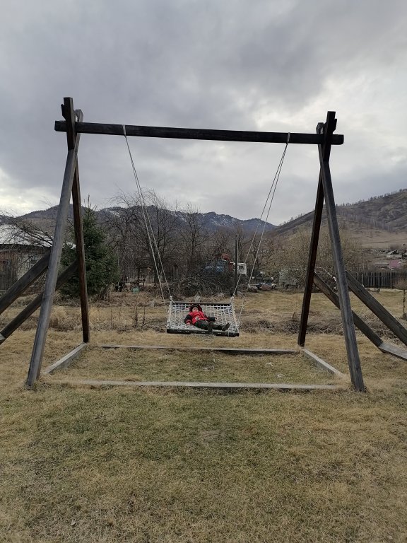 Фото Золотая пчела