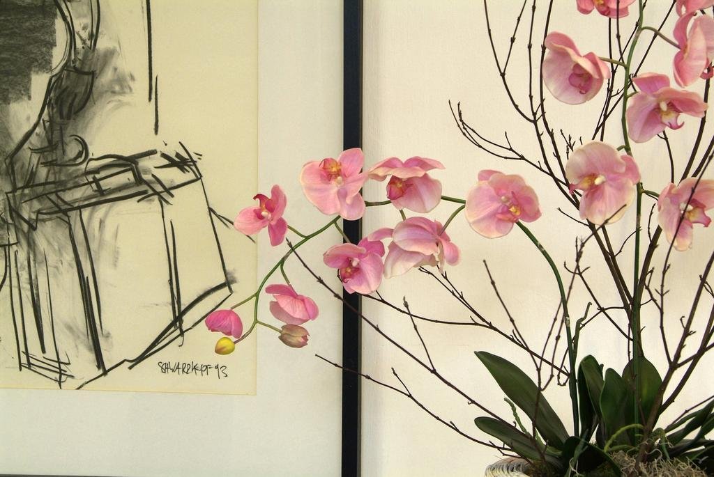 Фото Hotel Deutscher Hof