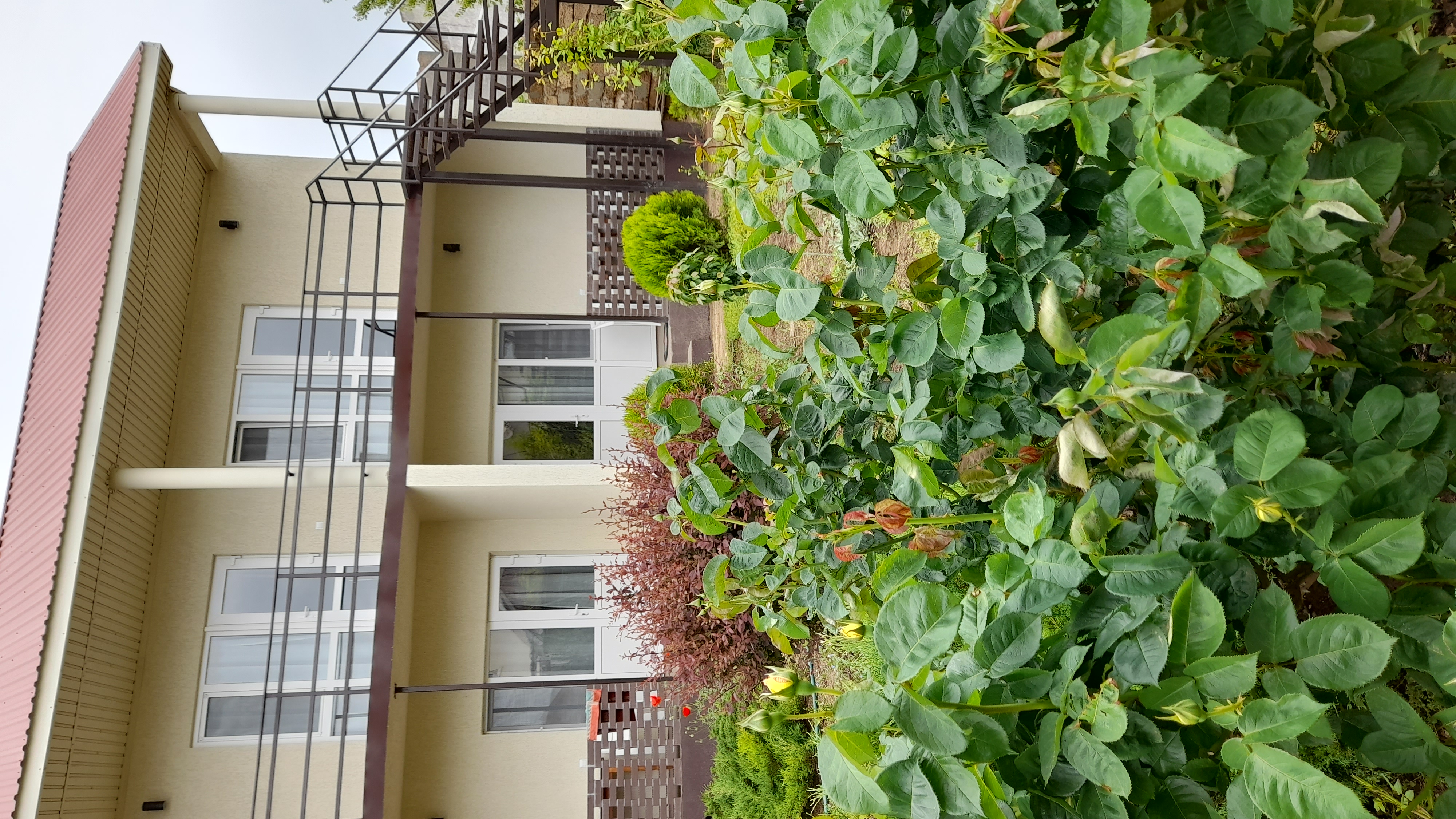 Фото Тетушка Сова