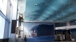 Avangard (Dolzhanskaya Street, 37), ceiling systems