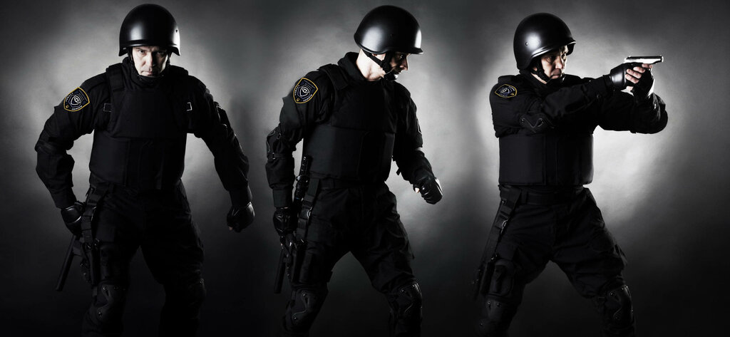 Security company Okhrannoye agentstvo Arsenal, Cherepovets, photo