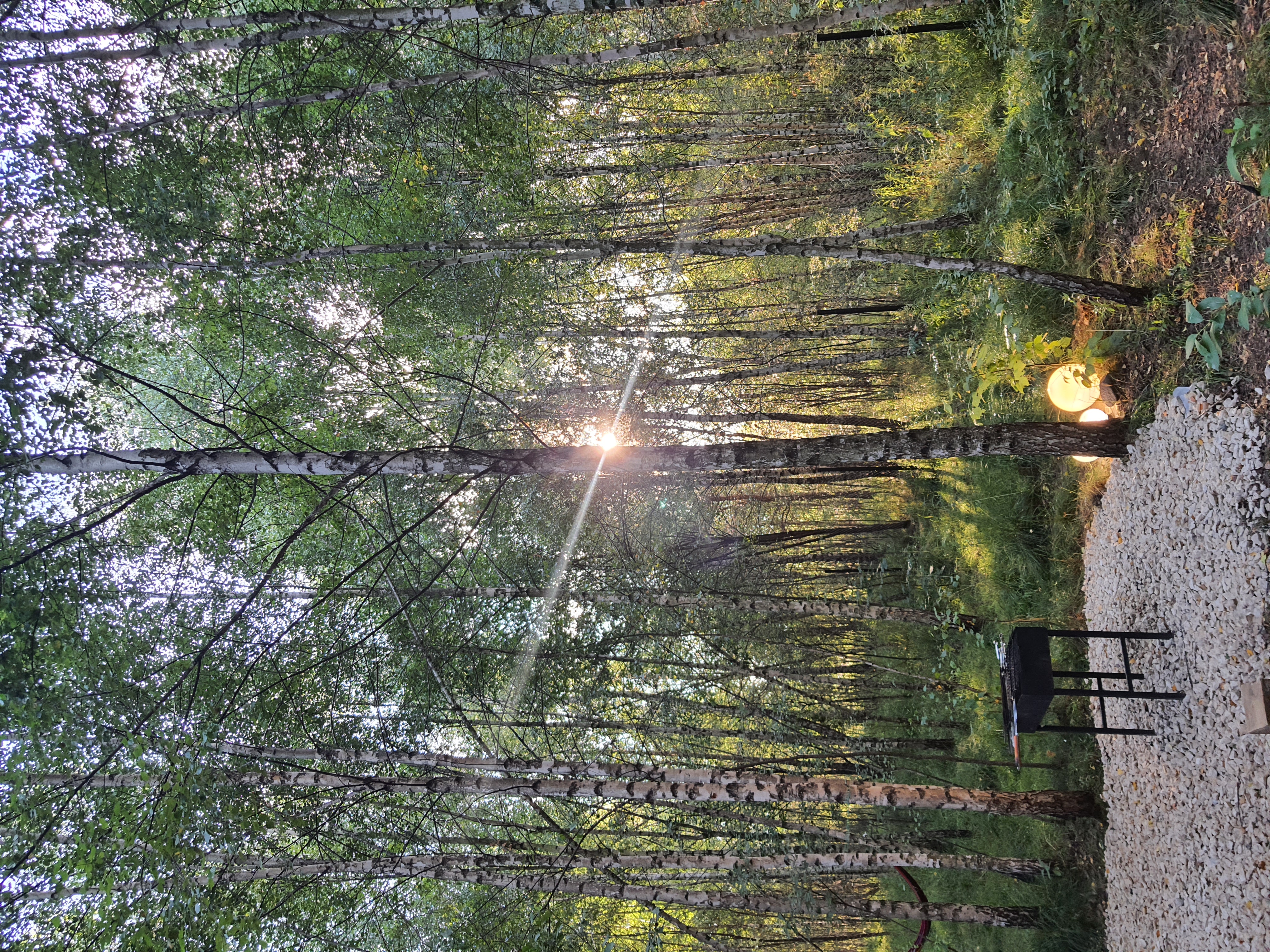 Фото Эко-горный