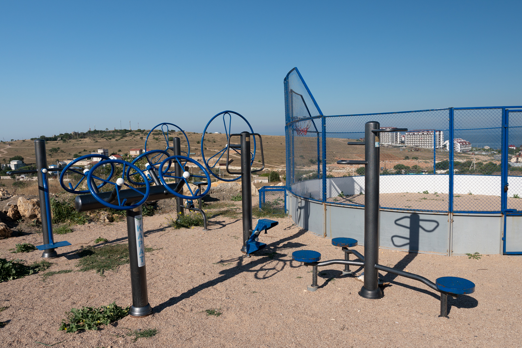 Фото Дельфин