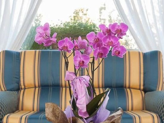 Фото Abano Verdi Hotel Terme