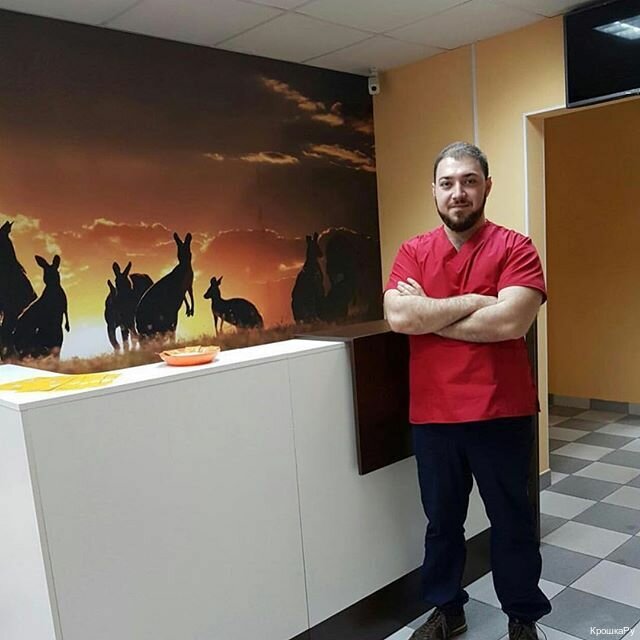 Veterinary clinic KroshkaRu, Moscow, photo