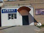 Атлант (ул. 50 лет Октября, 17, Волгоград), магазин бытовой техники в Волгограде