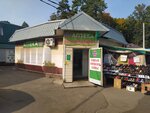 Ekonom (Shchyolkovo-3 Microdistrict, Institutskaya ulitsa, 27А) ، صيدلية