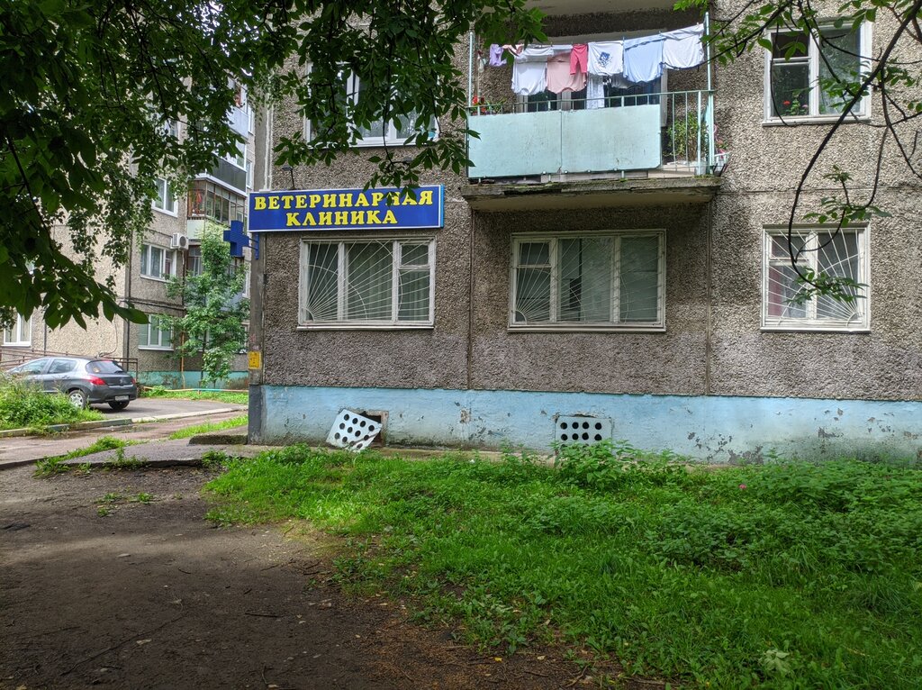 Алексвет комсомольская ул 65 фото
