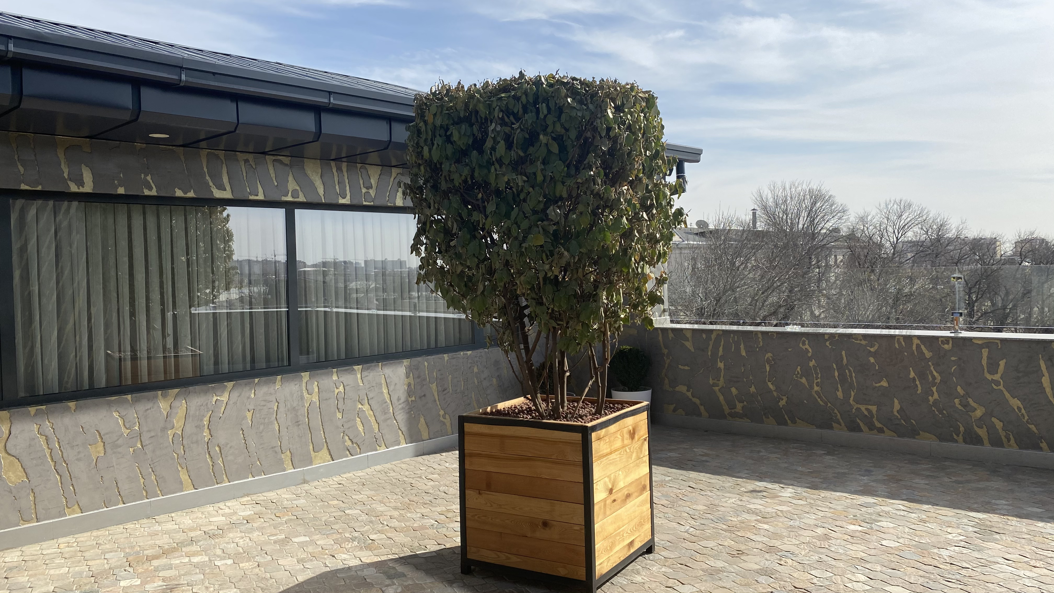 Фото 138324136117