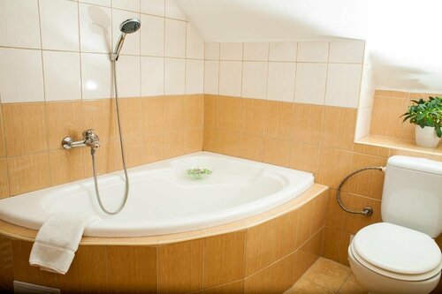 Гостиница Hotel Borsicanka в Гавиржове
