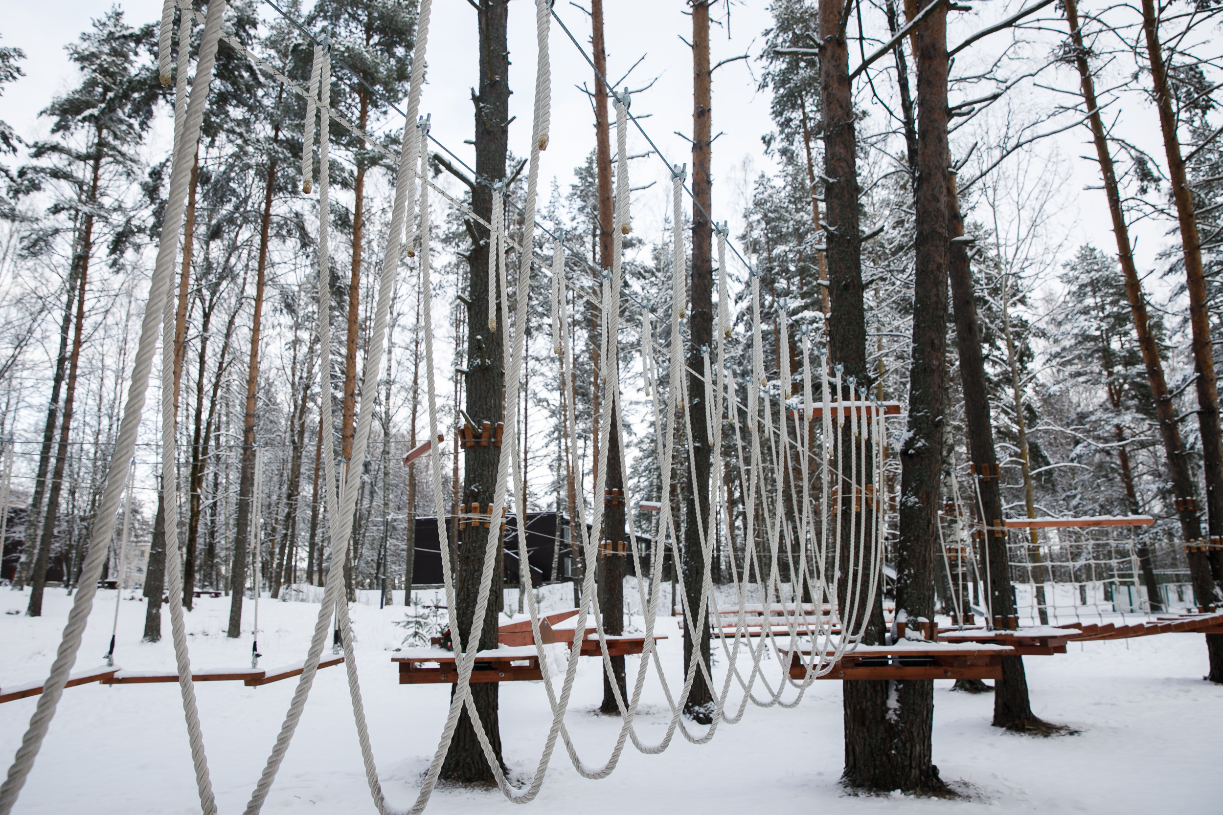 Фото Лосево Парк