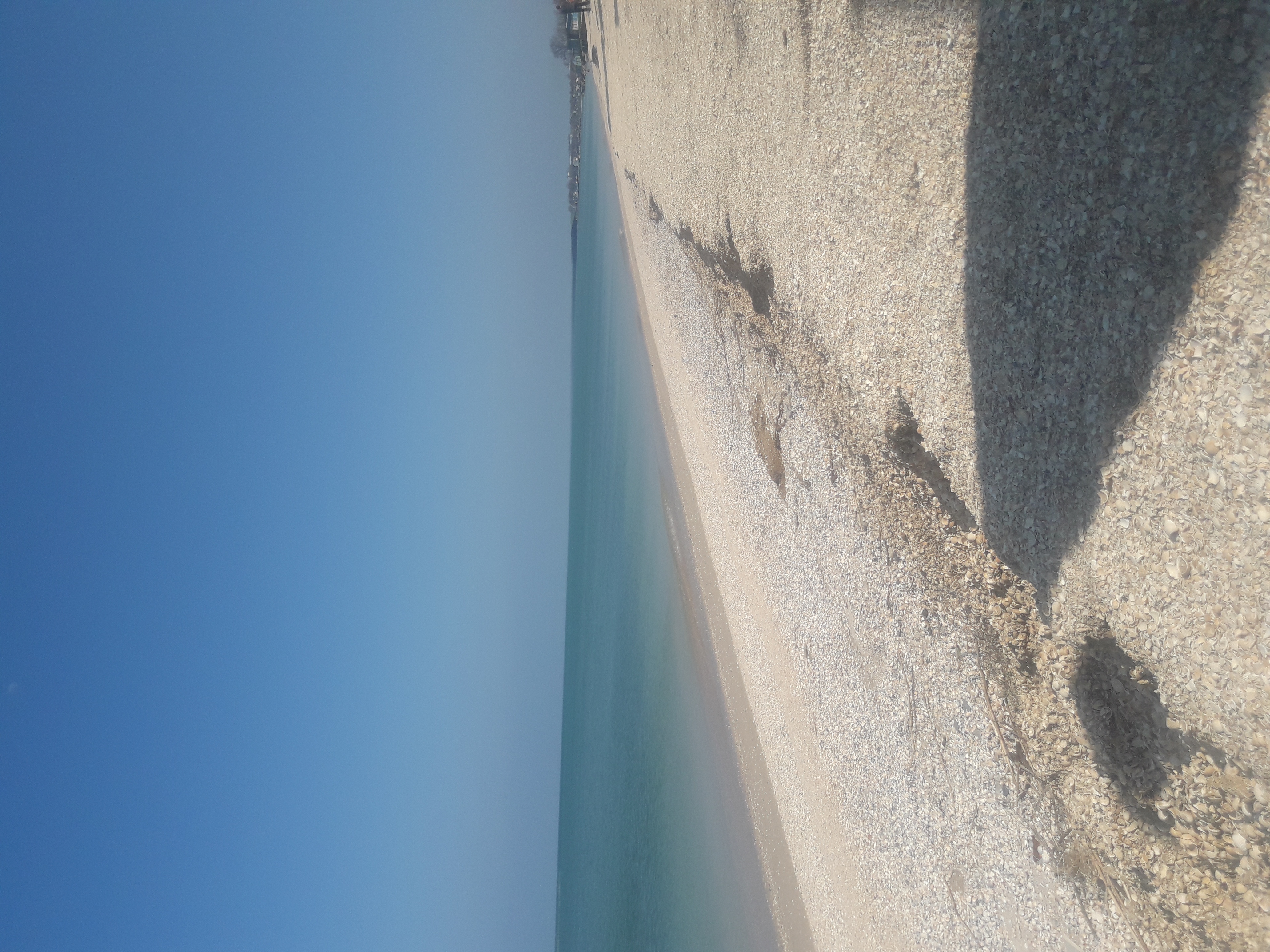 Фото Родной берег