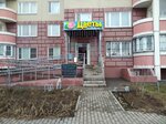 Tsvety optom i V roznitsu (Dmitrieva Street, 32) ، محل زهور