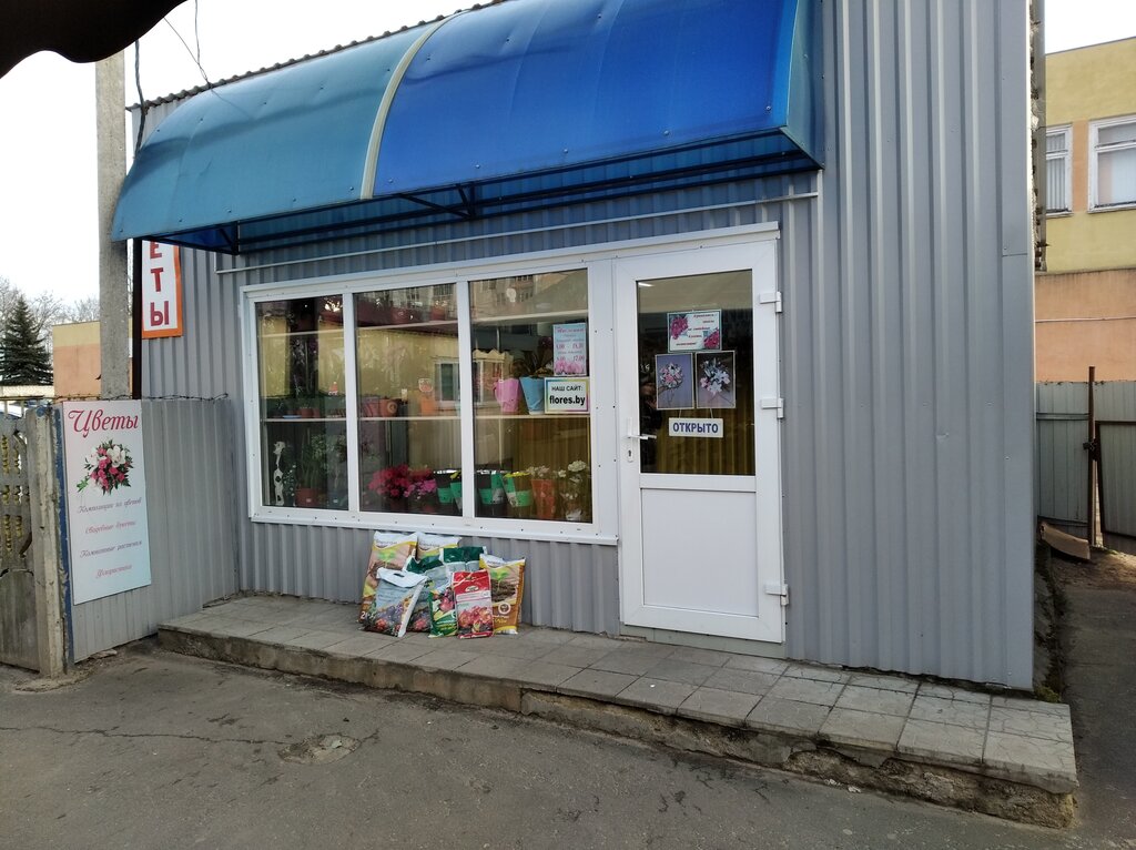 Flower shop Цветы, Rogachev, photo