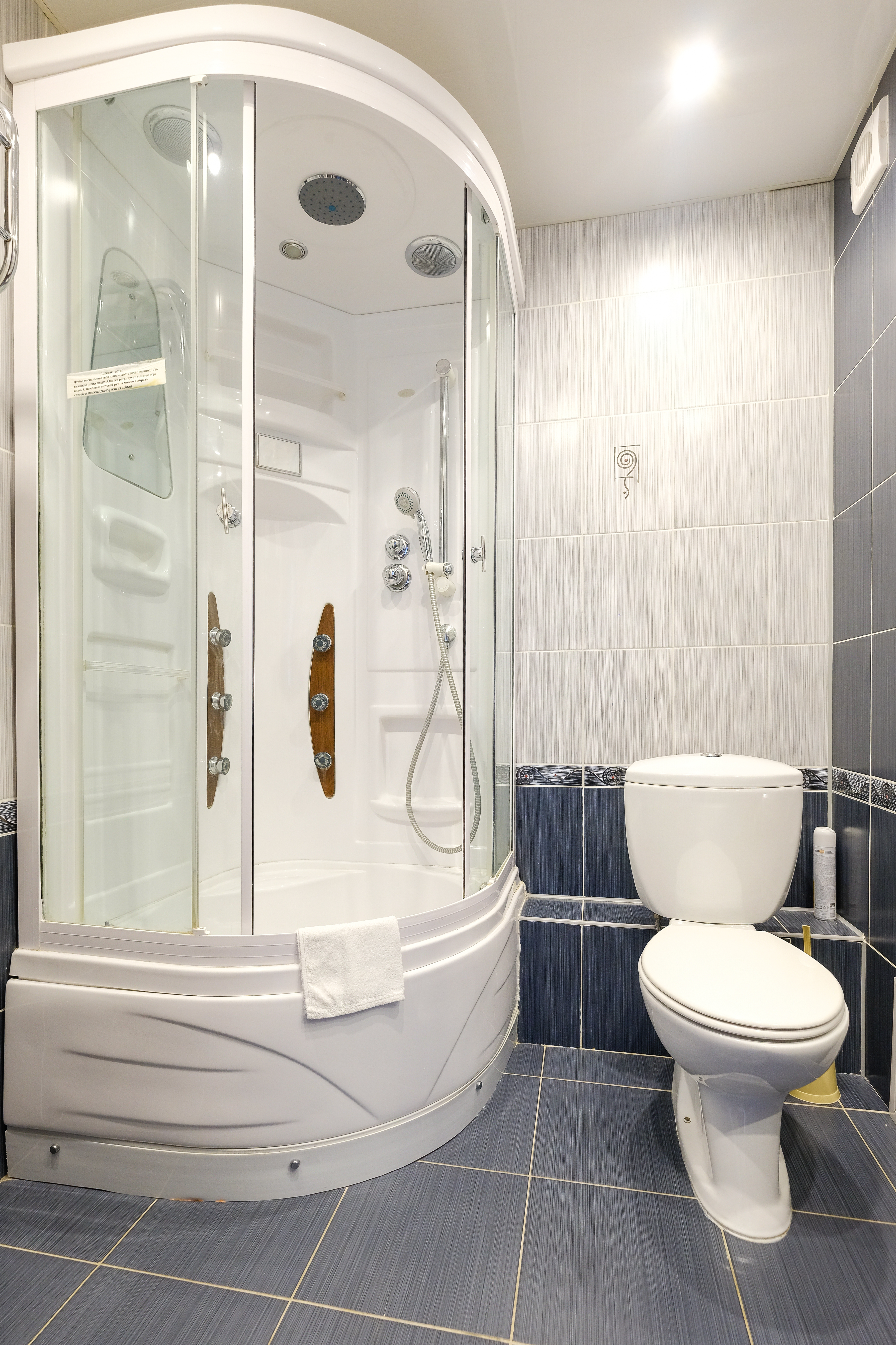 Фото Спутник