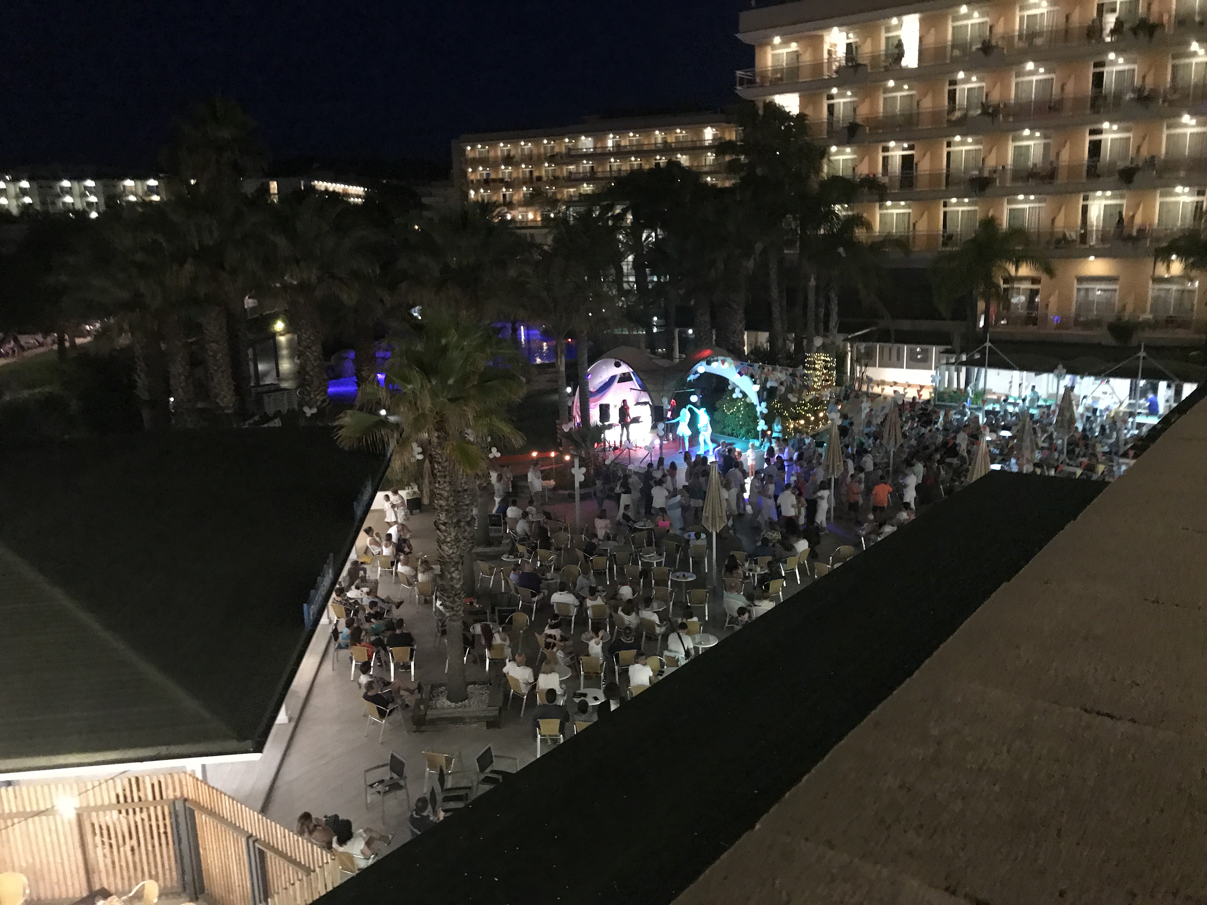 Фото Hotel Palas Pineda