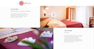 Гостиница Hotel Lily