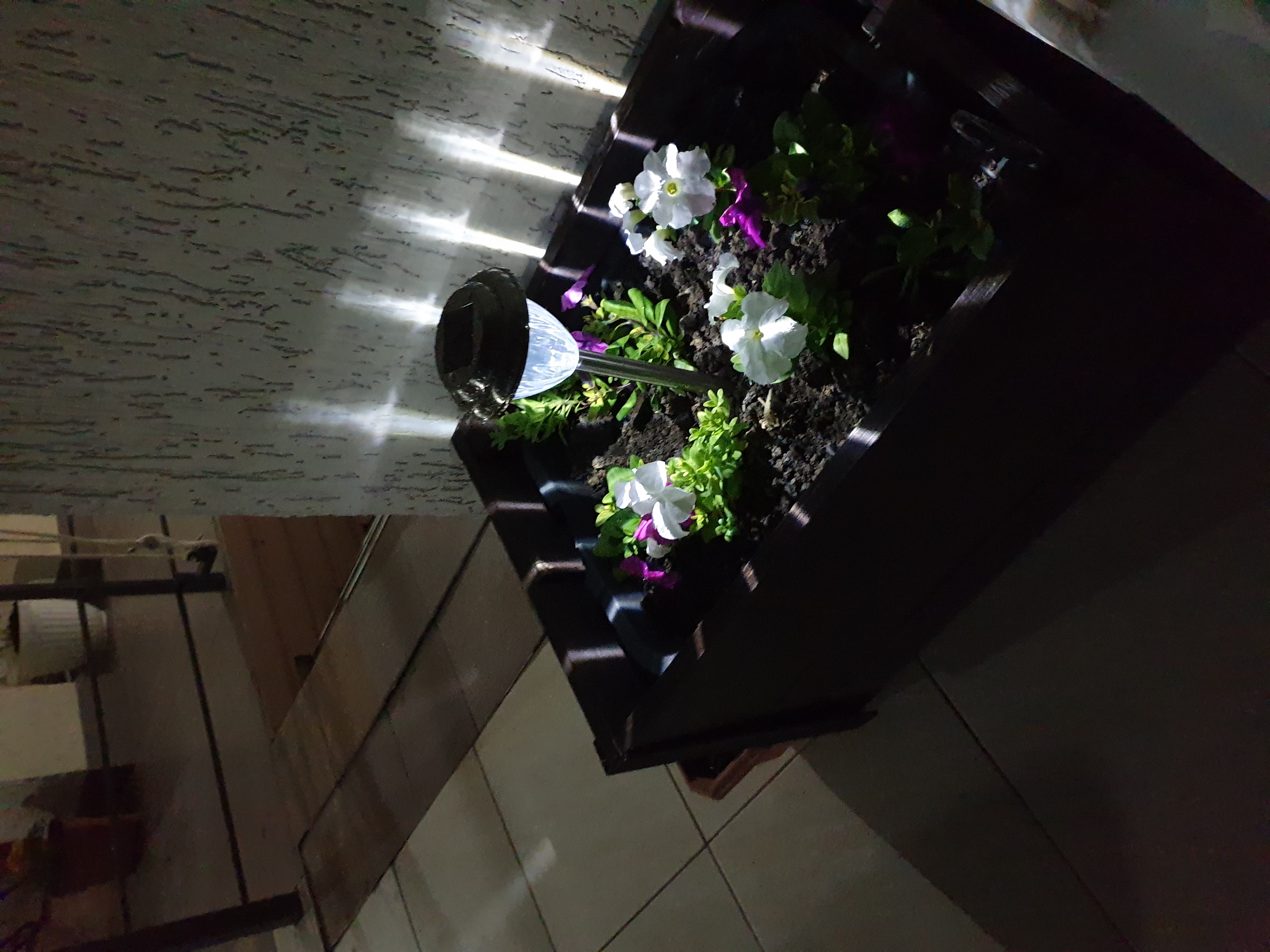 Фото Горный Воздух