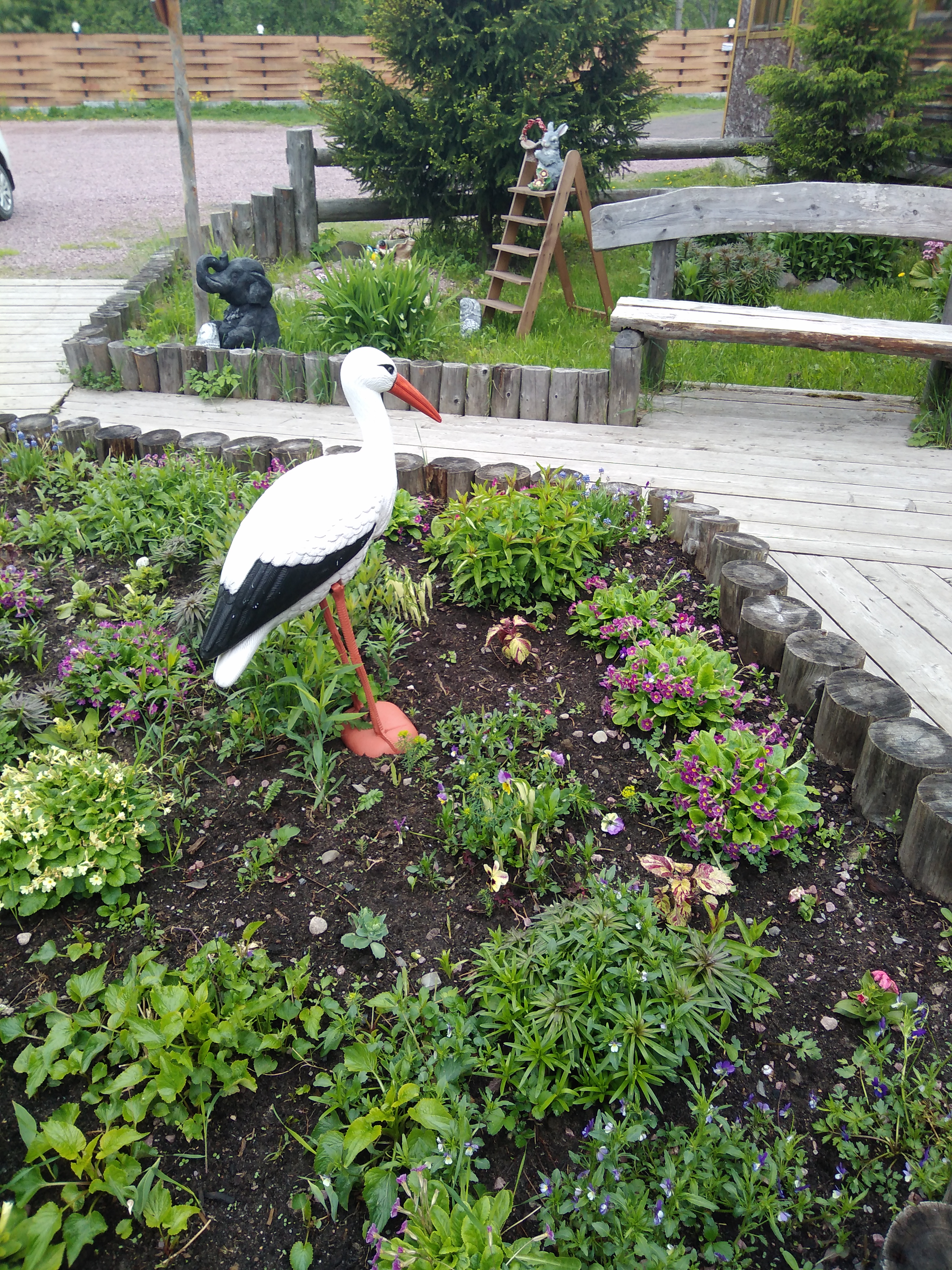 Фото Марциальные ключи