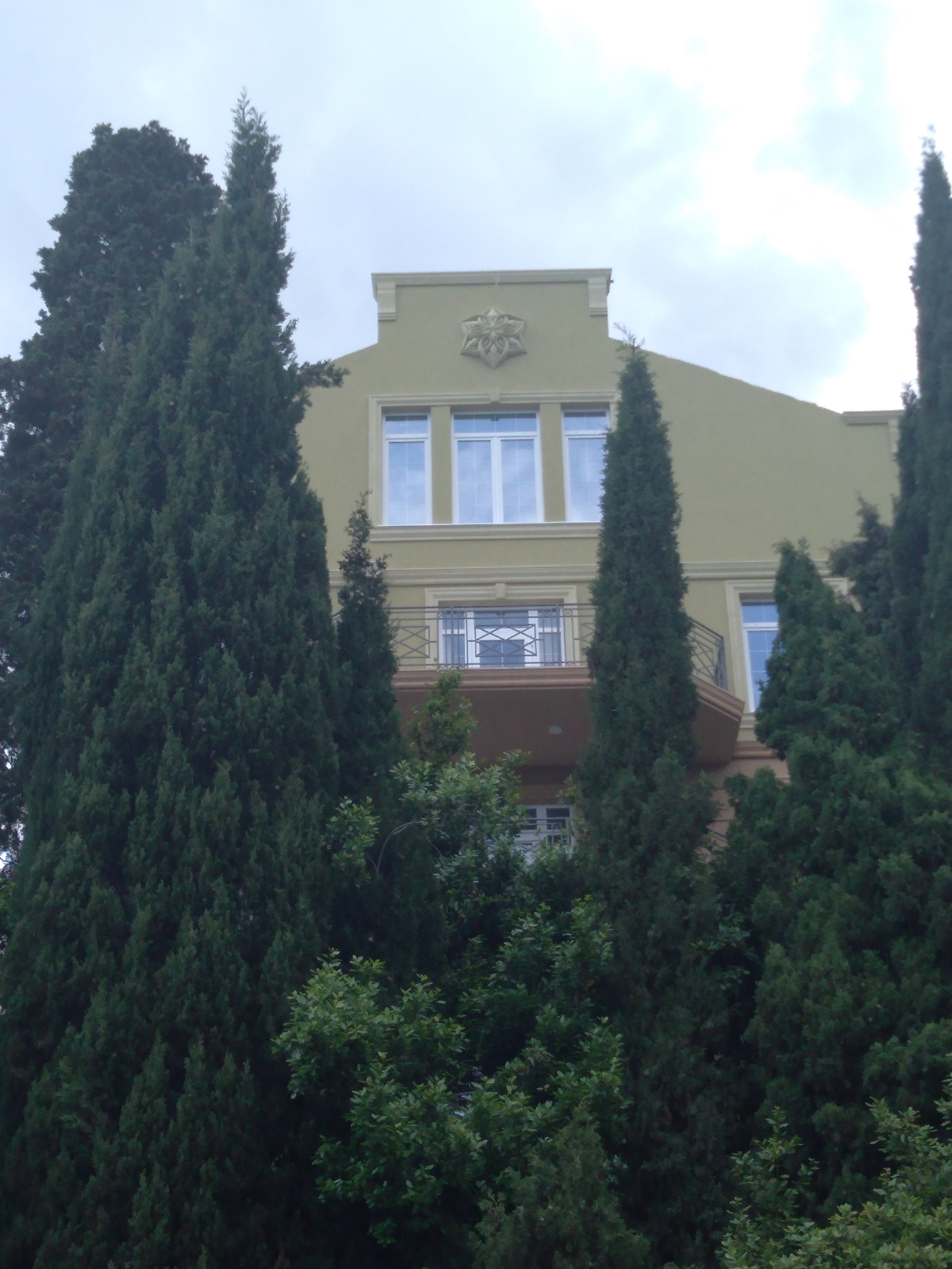 Фото Камелия