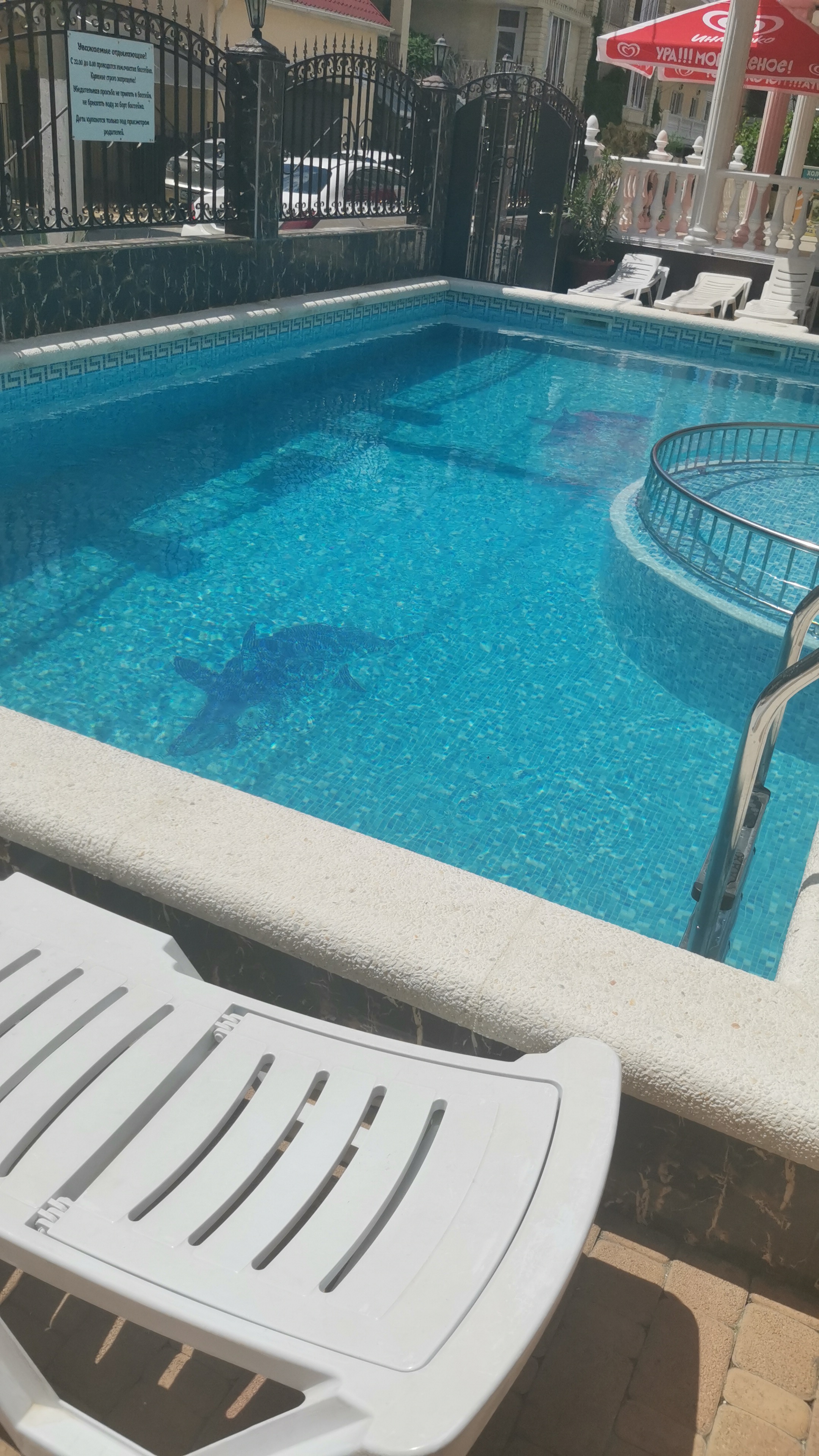 Фото Натела