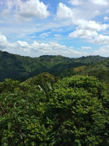 Фото Aosmec Square Hotel