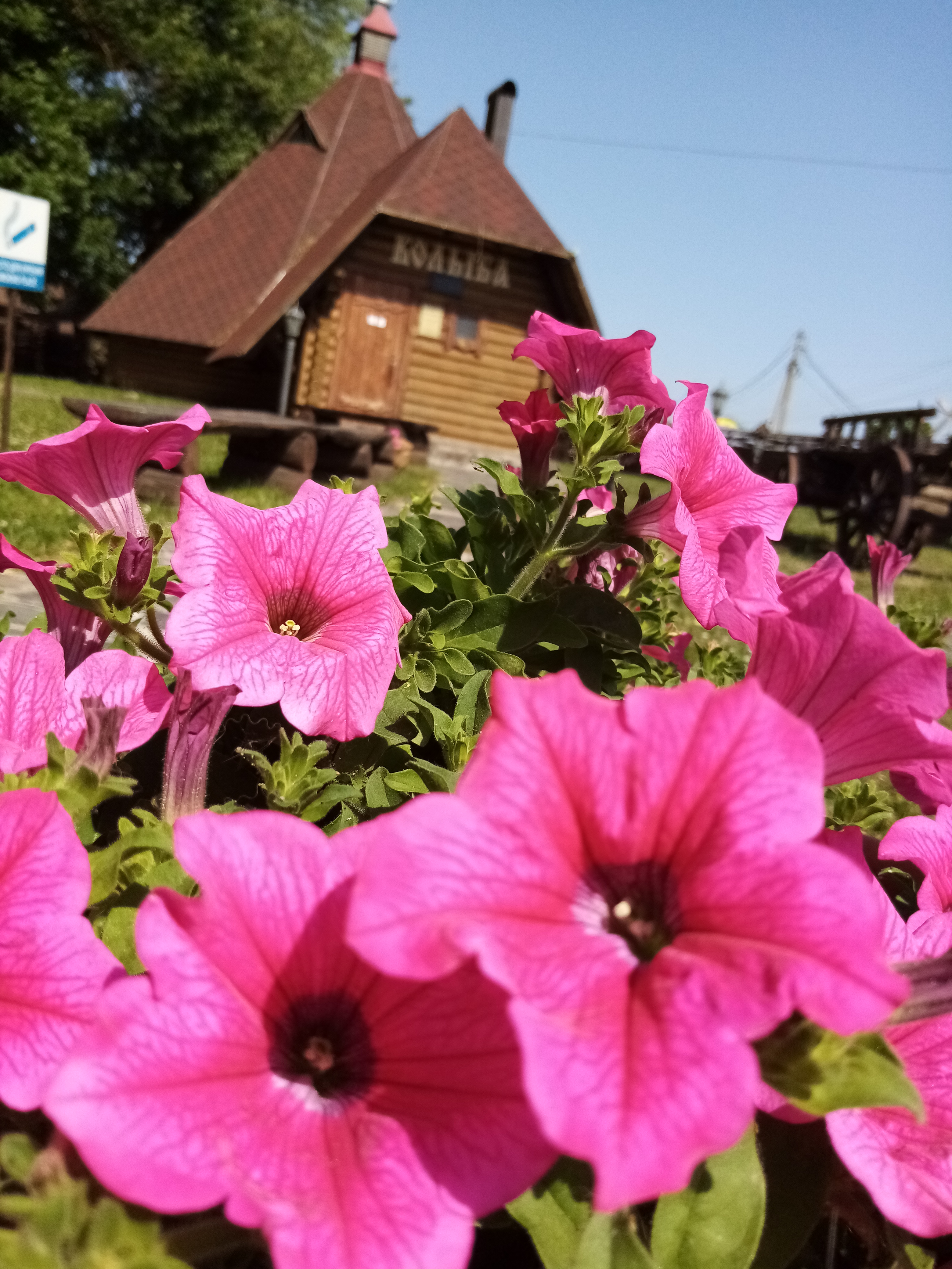 Фото Колыба