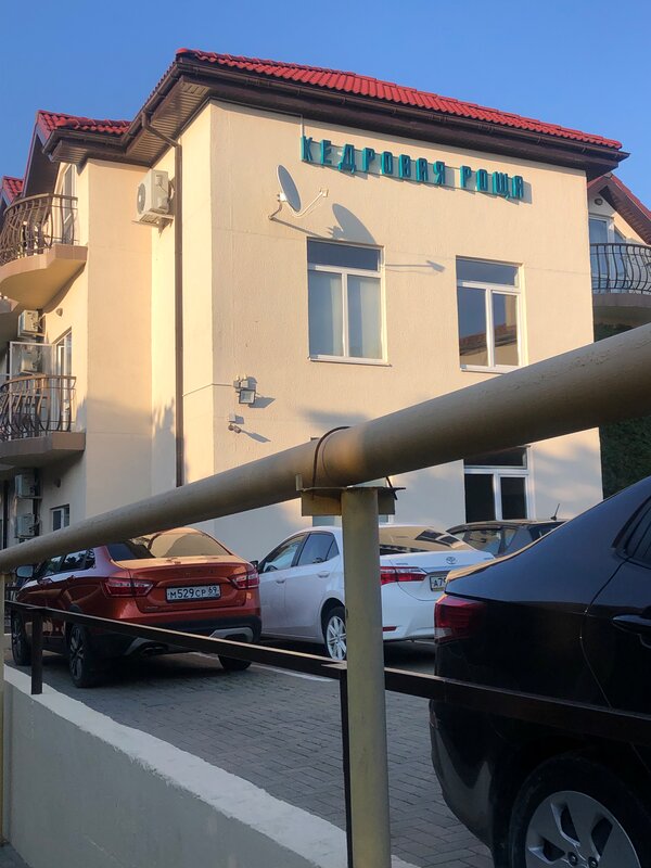 Кедровая роща — фото 21
