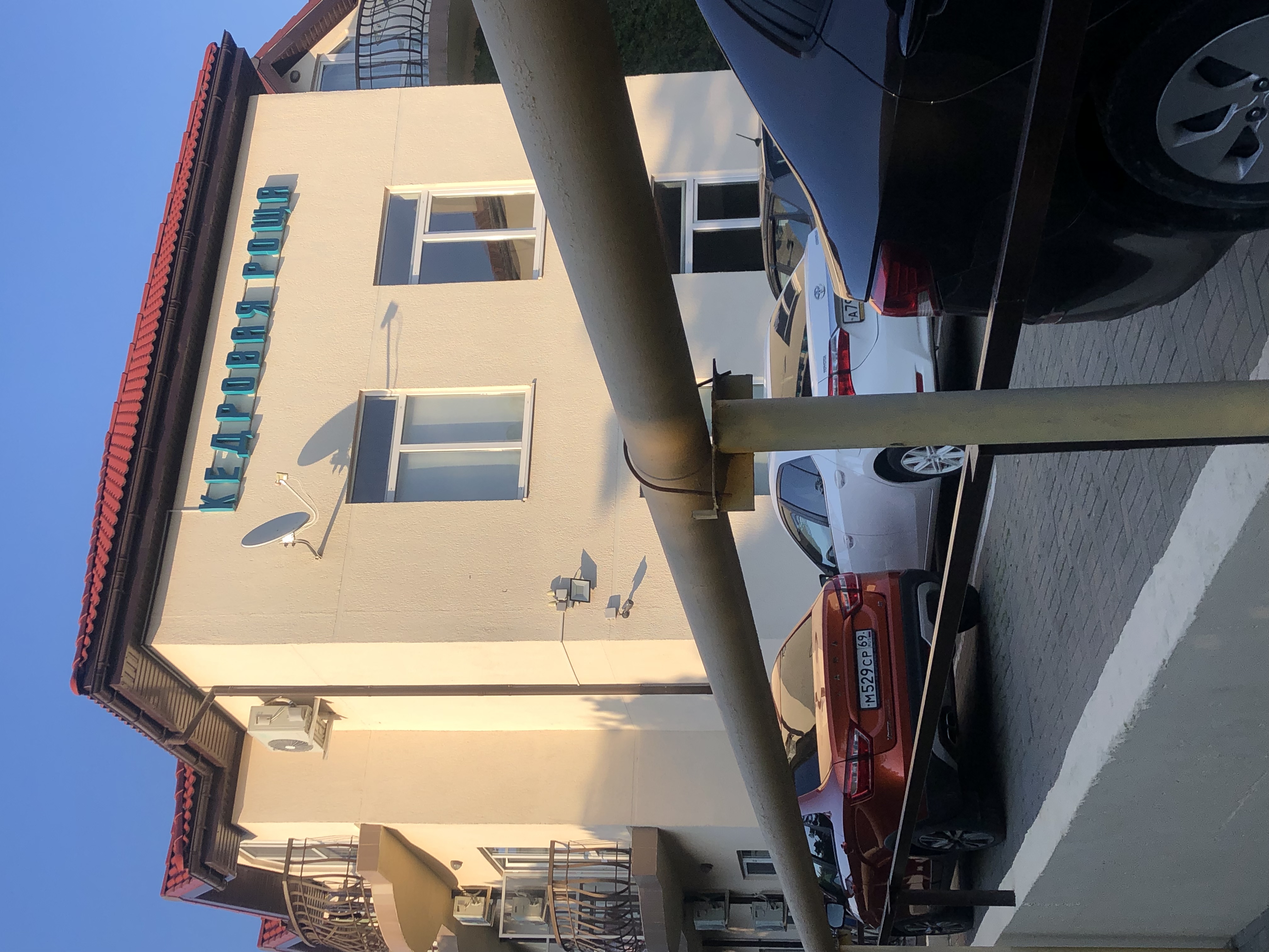 Фото Кедровая роща