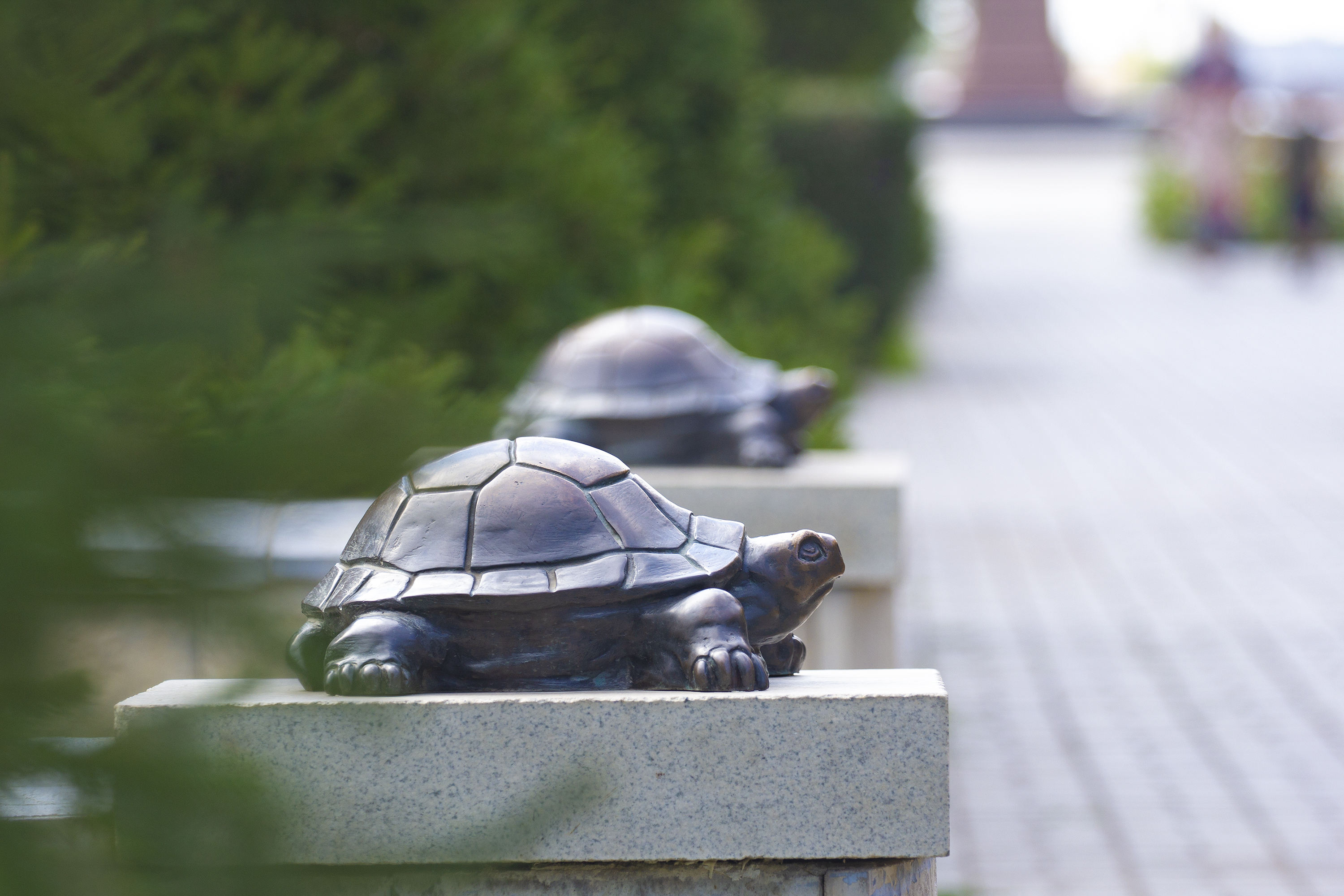 Фото Приват Отель