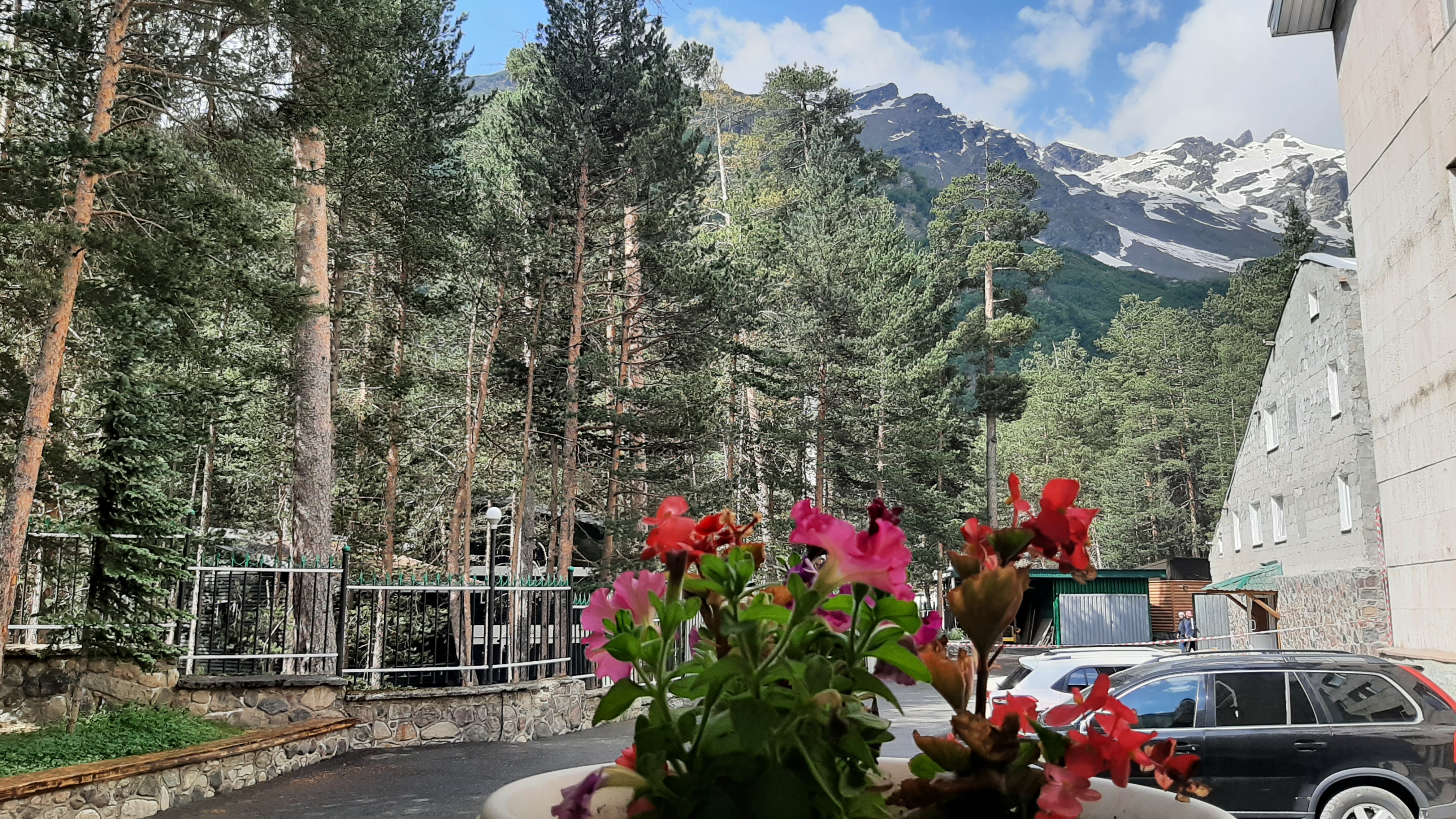 Фото Вольфрам