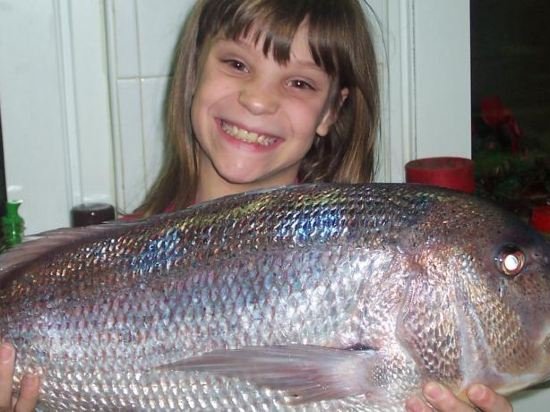 Фото Отель Ai Campi Di Marcello