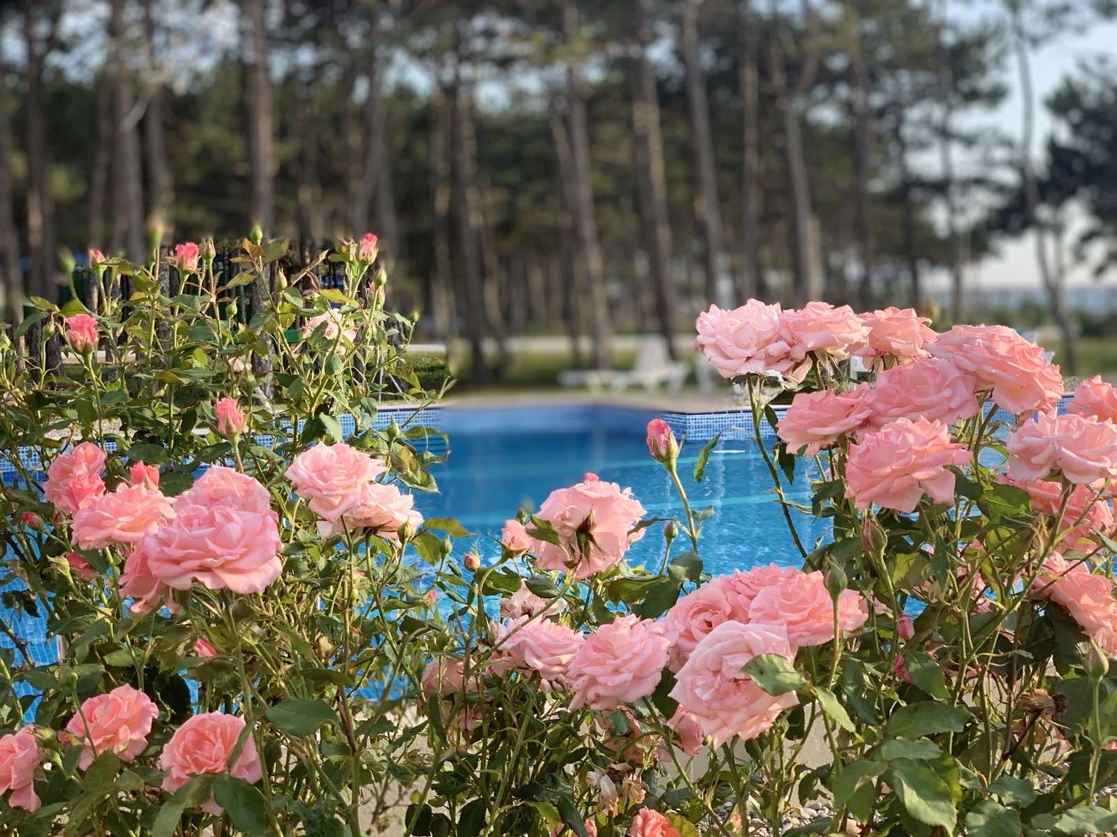 Фото Волна Парк