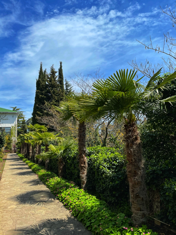 Фото Сказка