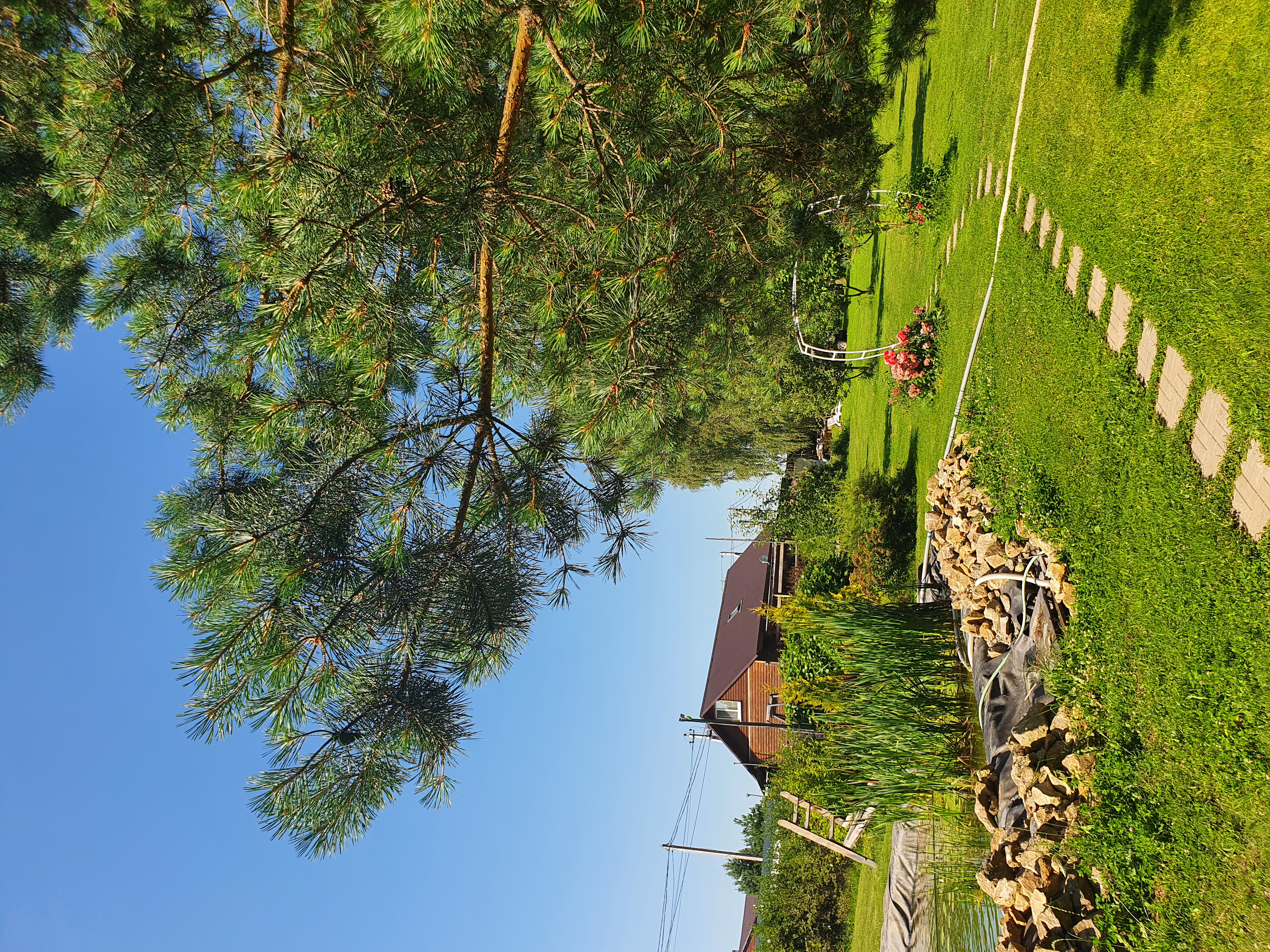 Фото Зелёная горка