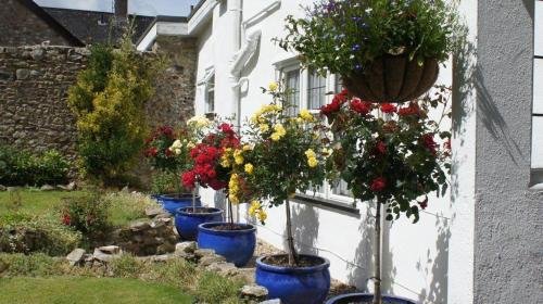 Фото The White Cottage B&b