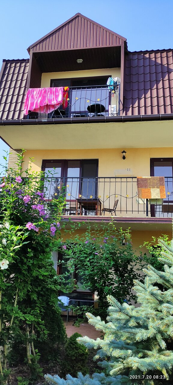 Фото Колибри