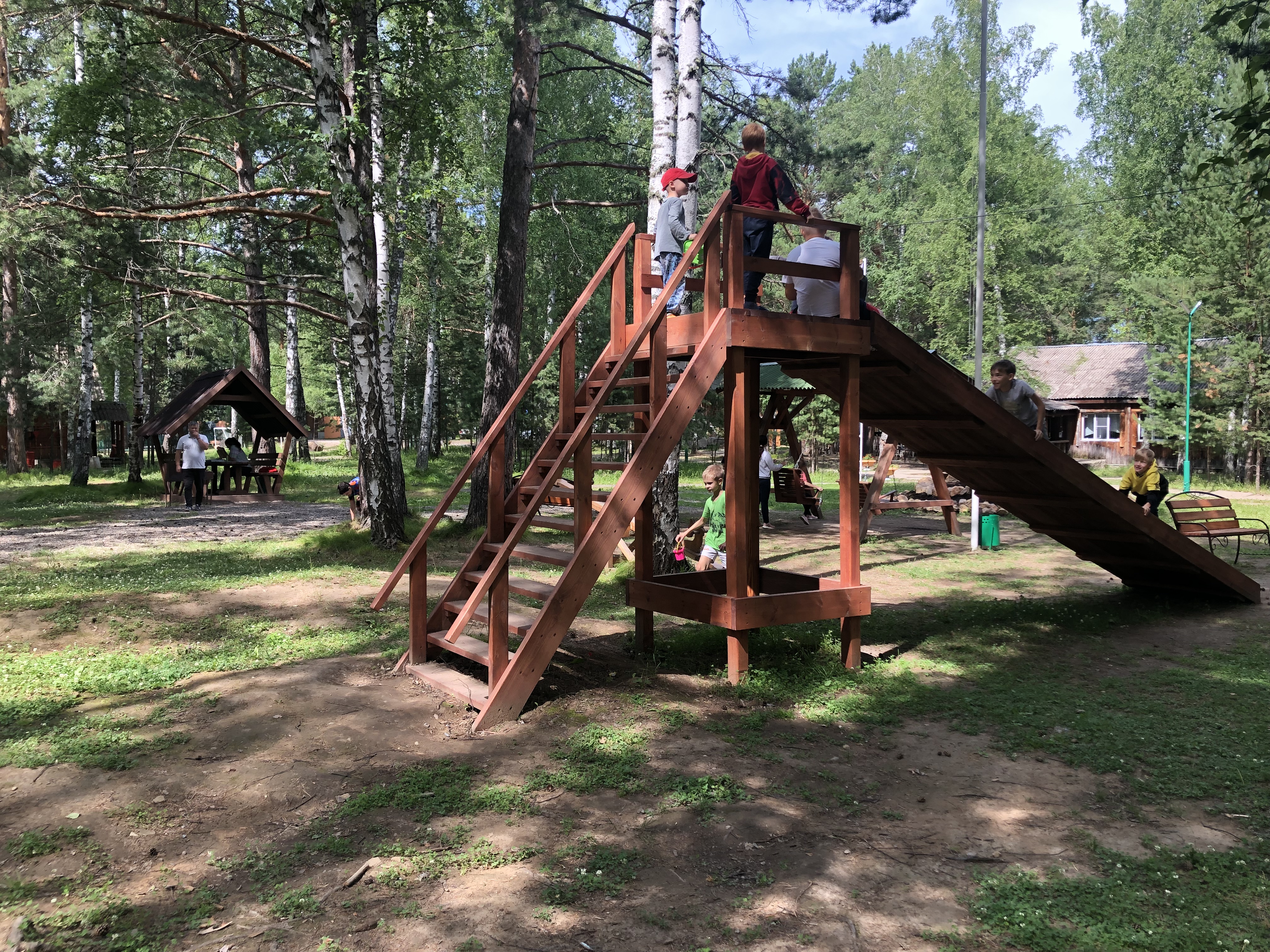 Фото Белая сова