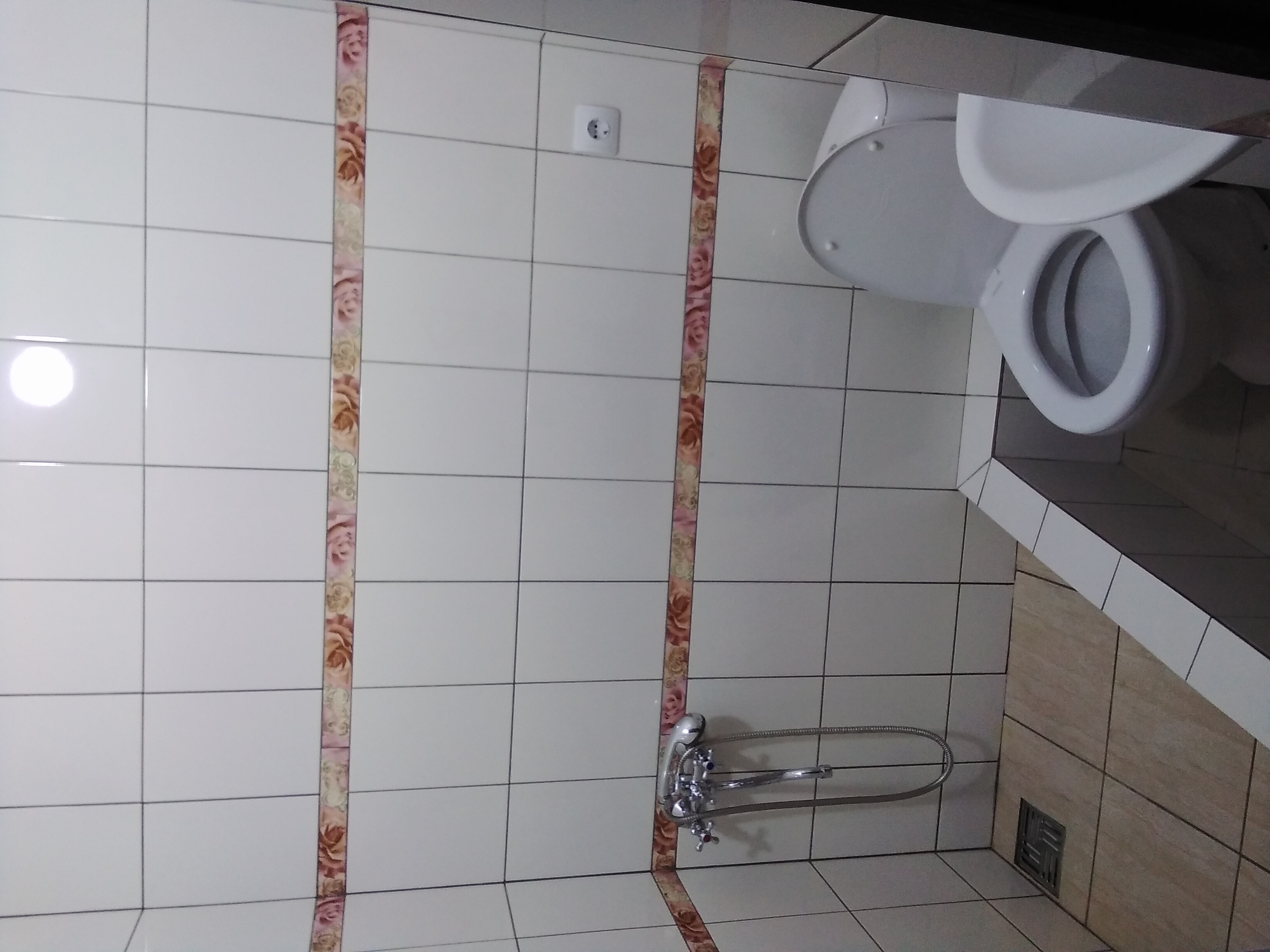 Фото Кипарис