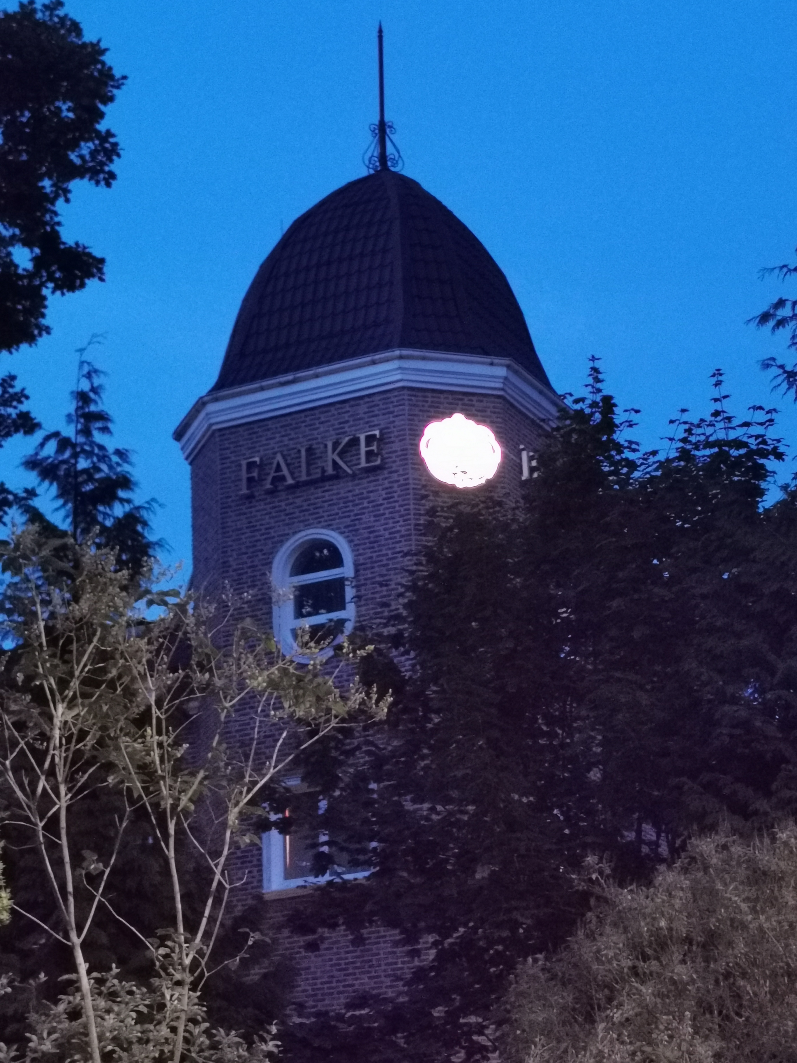 Фото Royal Falke Resort & SPA