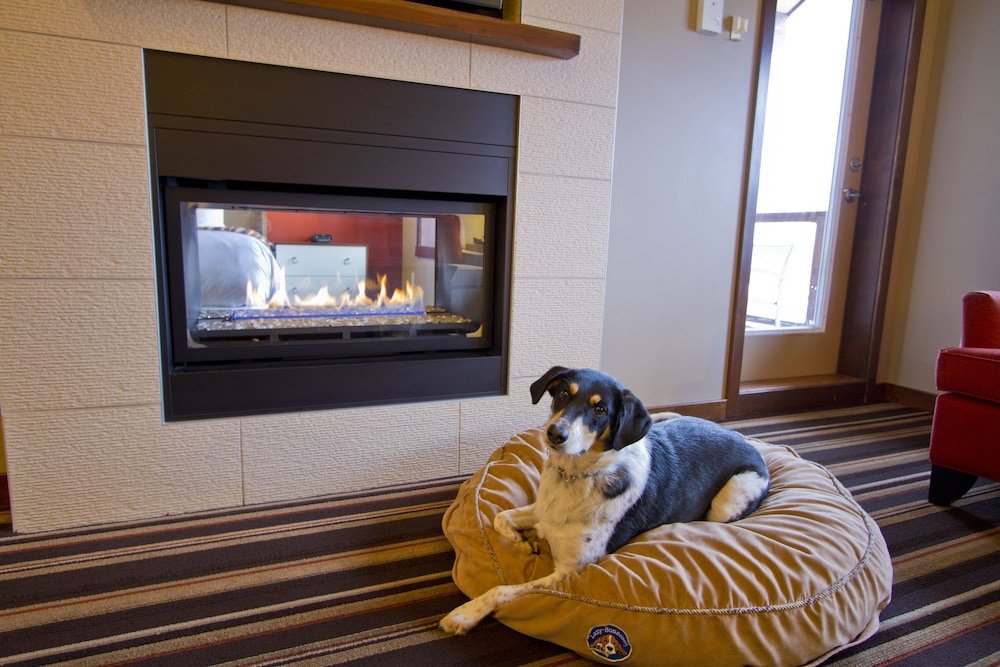 Фото Evolution Whistler