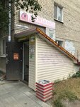 Copycentro (Babushkina Street, 18), seal and stamp