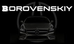 Borovenskiy (8th Liniya Street, 13А), car service, auto repair