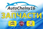 AutoChelny16 (Kazanskiy Avenue, 228с5), auto parts and auto goods store