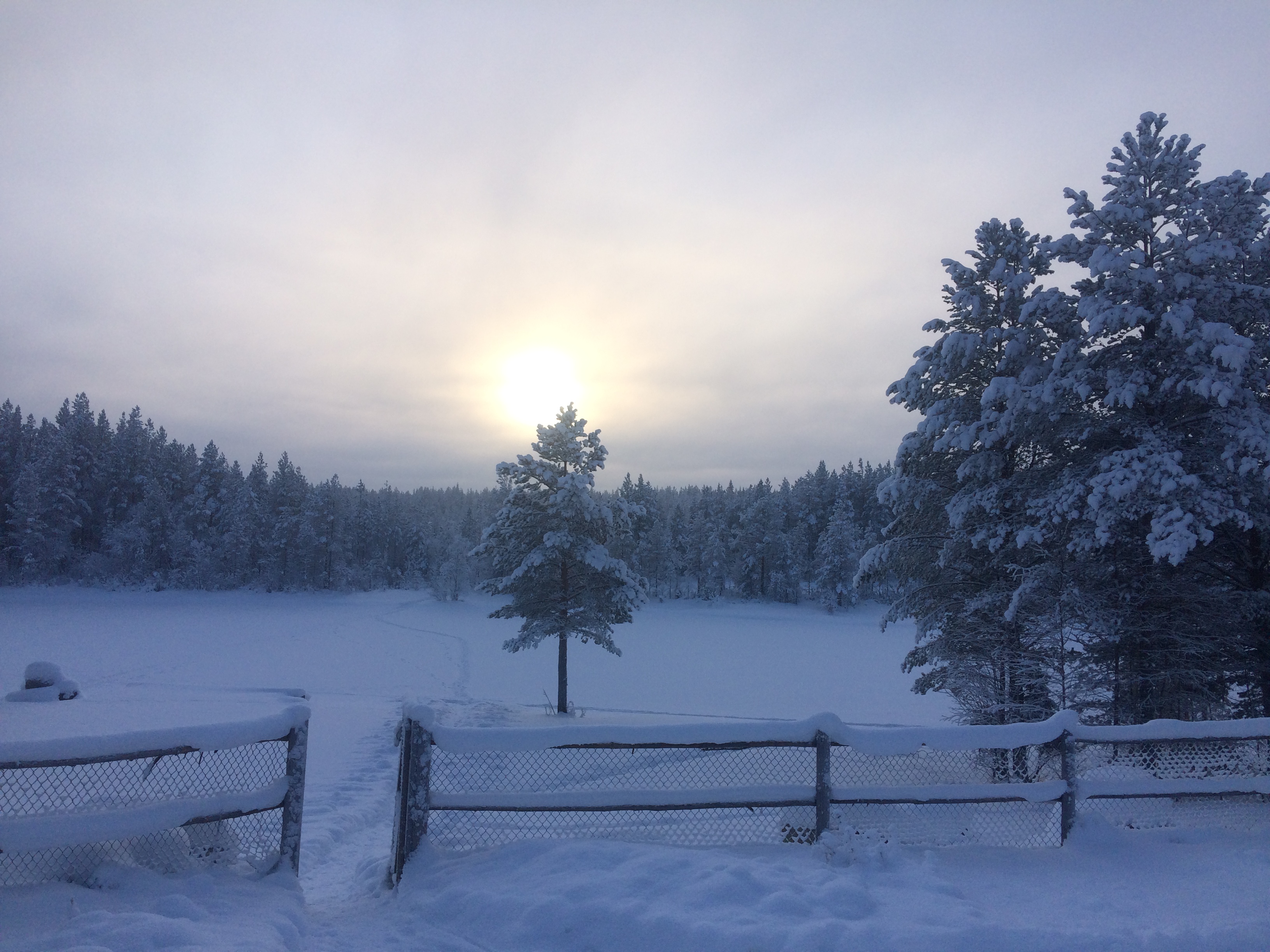 Фото Бабушкин хутор