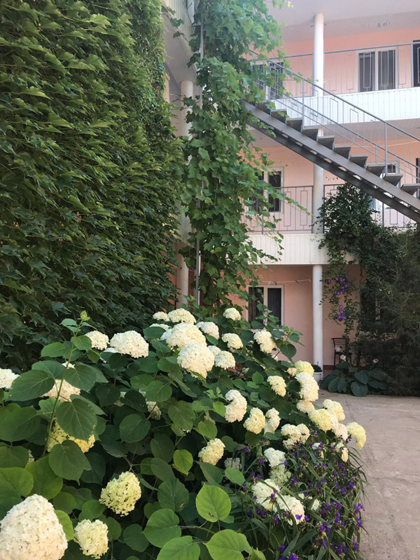 Фото отеля 2