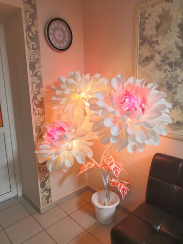 Калининградтық «Фантазия» интимдік салоны