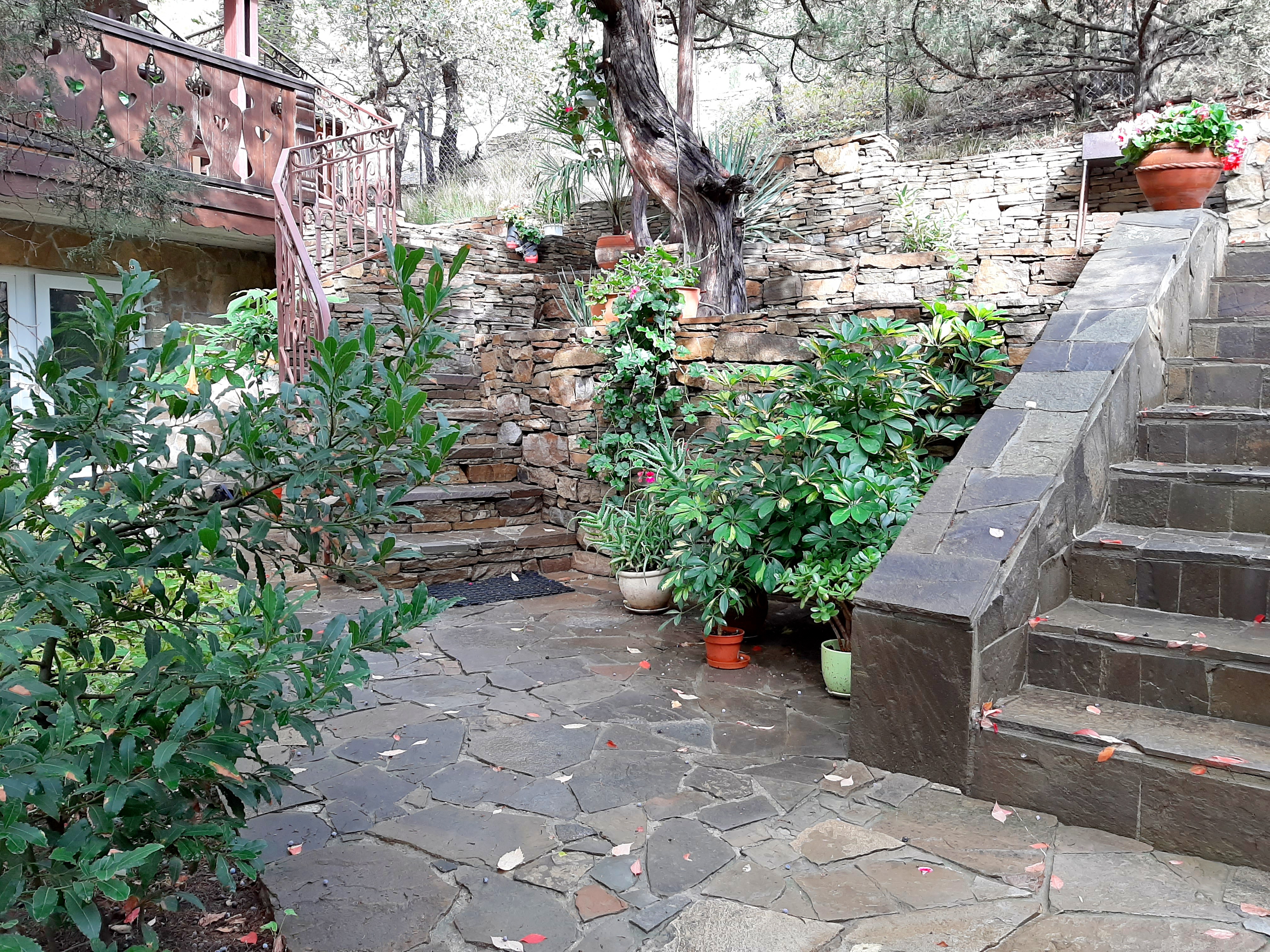 Фото Шаляпин Хаус