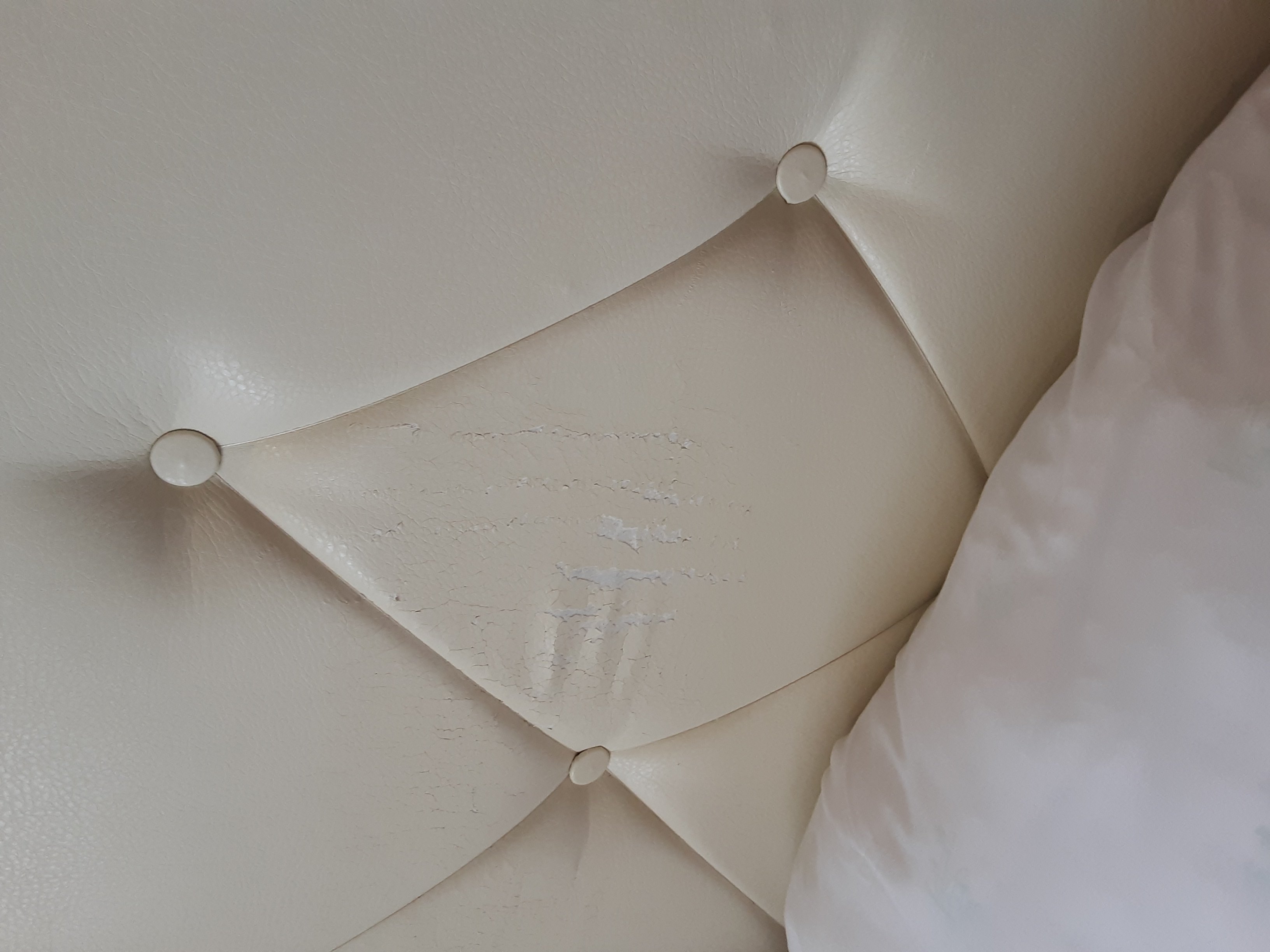 Фото Парадис